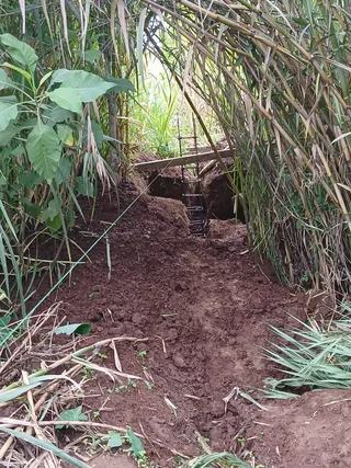 Avance de obra del 12/09/2025 — foto 4